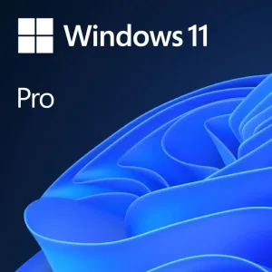 Microsoft Windows 11 Pro ESD