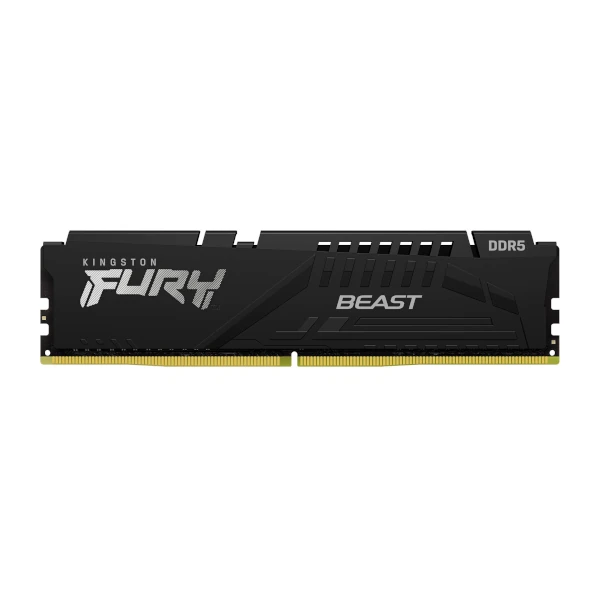 Kingston Fury Beast Black